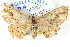  ( - BIOUG04497-D01)  @14 [ ] CreativeCommons - Attribution (2013) CBG Photography Group Centre for Biodiversity Genomics