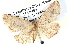  ( - BIOUG04497-D12)  @13 [ ] CreativeCommons - Attribution (2013) CBG Photography Group Centre for Biodiversity Genomics