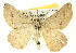  ( - BIOUG04511-B02)  @14 [ ] CreativeCommons - Attribution (2013) CBG Photography Group Centre for Biodiversity Genomics
