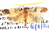  ( - BIOUG04512-E07)  @14 [ ] CreativeCommons - Attribution (2013) CBG Photography Group Centre for Biodiversity Genomics