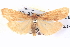  ( - BIOUG04521-A01)  @14 [ ] CreativeCommons - Attribution (2013) CBG Photography Group Centre for Biodiversity Genomics
