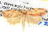  ( - BIOUG04521-A04)  @13 [ ] CreativeCommons - Attribution (2013) CBG Photography Group Centre for Biodiversity Genomics