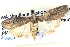  ( - BIOUG04521-G08)  @12 [ ] CreativeCommons - Attribution (2013) CBG Photography Group Centre for Biodiversity Genomics