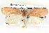  ( - BIOUG04521-G11)  @12 [ ] CreativeCommons - Attribution (2013) CBG Photography Group Centre for Biodiversity Genomics
