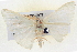  ( - BIOUG04670-B07)  @13 [ ] CreativeCommons - Attribution (2013) CBG Photography Group Centre for Biodiversity Genomics