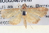 ( - BIOUG04670-E05)  @13 [ ] CreativeCommons - Attribution (2013) CBG Photography Group Centre for Biodiversity Genomics