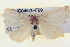  ( - BIOUG04670-F09)  @13 [ ] CreativeCommons - Attribution (2013) CBG Photography Group Centre for Biodiversity Genomics