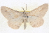  ( - BIOUG04670-G10)  @13 [ ] CreativeCommons - Attribution (2013) CBG Photography Group Centre for Biodiversity Genomics