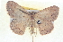 ( - BIOUG04670-H05)  @13 [ ] CreativeCommons - Attribution (2013) CBG Photography Group Centre for Biodiversity Genomics