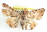  ( - BIOUG04672-C01)  @14 [ ] CreativeCommons - Attribution (2013) CBG Photography Group Centre for Biodiversity Genomics