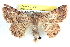  ( - BIOUG04672-C02)  @14 [ ] CreativeCommons - Attribution (2013) CBG Photography Group Centre for Biodiversity Genomics