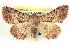  ( - BIOUG04672-C05)  @14 [ ] CreativeCommons - Attribution (2013) CBG Photography Group Centre for Biodiversity Genomics