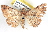  ( - BIOUG04672-D01)  @14 [ ] CreativeCommons - Attribution (2013) CBG Photography Group Centre for Biodiversity Genomics