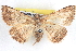  ( - BIOUG04672-D02)  @14 [ ] CreativeCommons - Attribution (2013) CBG Photography Group Centre for Biodiversity Genomics