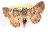  ( - BIOUG04672-D04)  @14 [ ] CreativeCommons - Attribution (2013) CBG Photography Group Centre for Biodiversity Genomics