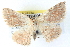  ( - BIOUG04672-E06)  @13 [ ] CreativeCommons - Attribution (2013) CBG Photography Group Centre for Biodiversity Genomics