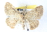  ( - BIOUG04672-E07)  @13 [ ] CreativeCommons - Attribution (2013) CBG Photography Group Centre for Biodiversity Genomics
