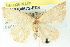  ( - BIOUG04672-E08)  @13 [ ] CreativeCommons - Attribution (2013) CBG Photography Group Centre for Biodiversity Genomics