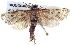  ( - BIOUG04673-B02)  @13 [ ] CreativeCommons - Attribution (2013) CBG Photography Group Centre for Biodiversity Genomics