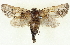  ( - BIOUG04673-B05)  @14 [ ] CreativeCommons - Attribution (2013) CBG Photography Group Centre for Biodiversity Genomics