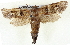  ( - BIOUG04673-B07)  @13 [ ] CreativeCommons - Attribution (2013) CBG Photography Group Centre for Biodiversity Genomics