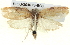  ( - BIOUG04673-B08)  @12 [ ] CreativeCommons - Attribution (2013) CBG Photography Group Centre for Biodiversity Genomics