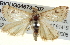  ( - BIOUG04673-C07)  @13 [ ] CreativeCommons - Attribution (2013) CBG Photography Group Centre for Biodiversity Genomics