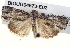  ( - BIOUG04673-E02)  @14 [ ] CreativeCommons - Attribution (2013) CBG Photography Group Centre for Biodiversity Genomics