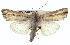  ( - BIOUG04673-H11)  @13 [ ] CreativeCommons - Attribution (2013) CBG Photography Group Centre for Biodiversity Genomics