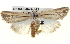  ( - BIOUG04674-A12)  @14 [ ] CreativeCommons - Attribution (2013) CBG Photography Group Centre for Biodiversity Genomics