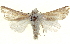  ( - BIOUG04674-B07)  @15 [ ] CreativeCommons - Attribution (2013) CBG Photography Group Centre for Biodiversity Genomics