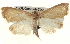  ( - BIOUG04674-C02)  @13 [ ] CreativeCommons - Attribution (2013) CBG Photography Group Centre for Biodiversity Genomics