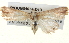  ( - BIOUG04674-D10)  @13 [ ] CreativeCommons - Attribution (2013) CBG Photography Group Centre for Biodiversity Genomics