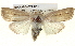  ( - BIOUG04674-D12)  @13 [ ] CreativeCommons - Attribution (2013) CBG Photography Group Centre for Biodiversity Genomics