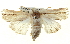  ( - BIOUG04674-E06)  @14 [ ] CreativeCommons - Attribution (2013) CBG Photography Group Centre for Biodiversity Genomics