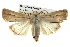  ( - BIOUG04674-E07)  @15 [ ] CreativeCommons - Attribution (2013) CBG Photography Group Centre for Biodiversity Genomics