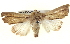  ( - BIOUG04674-E09)  @13 [ ] CreativeCommons - Attribution (2013) CBG Photography Group Centre for Biodiversity Genomics