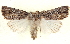  ( - BIOUG04674-G09)  @14 [ ] CreativeCommons - Attribution (2013) CBG Photography Group Centre for Biodiversity Genomics