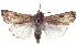  ( - BIOUG04674-H02)  @15 [ ] CreativeCommons - Attribution (2013) CBG Photography Group Centre for Biodiversity Genomics