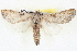  ( - BIOUG04675-A07)  @13 [ ] CreativeCommons - Attribution (2013) CBG Photography Group Centre for Biodiversity Genomics