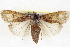  ( - BIOUG04675-A10)  @14 [ ] CreativeCommons - Attribution (2013) CBG Photography Group Centre for Biodiversity Genomics