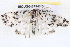  ( - BIOUG04675-F10)  @12 [ ] CreativeCommons - Attribution (2013) CBG Photography Group Centre for Biodiversity Genomics