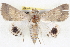  ( - BIOUG04675-H05)  @14 [ ] CreativeCommons - Attribution (2013) CBG Photography Group Centre for Biodiversity Genomics