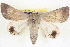  ( - BIOUG04675-H07)  @15 [ ] CreativeCommons - Attribution (2013) CBG Photography Group Centre for Biodiversity Genomics