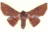  ( - BIOUG04676-D09)  @14 [ ] CreativeCommons - Attribution (2013) CBG Photography Group Centre for Biodiversity Genomics