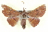  ( - BIOUG04676-D11)  @14 [ ] CreativeCommons - Attribution (2013) CBG Photography Group Centre for Biodiversity Genomics