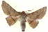  ( - BIOUG04676-E01)  @14 [ ] CreativeCommons - Attribution (2013) CBG Photography Group Centre for Biodiversity Genomics