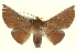  ( - BIOUG04676-F03)  @14 [ ] CreativeCommons - Attribution (2013) CBG Photography Group Centre for Biodiversity Genomics