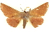  ( - BIOUG04676-G06)  @14 [ ] CreativeCommons - Attribution (2013) CBG Photography Group Centre for Biodiversity Genomics