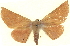  ( - BIOUG04676-G07)  @13 [ ] CreativeCommons - Attribution (2013) CBG Photography Group Centre for Biodiversity Genomics